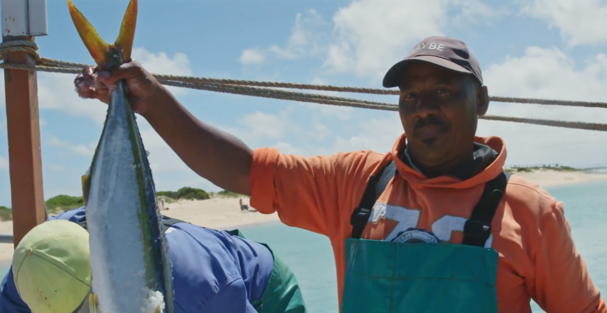Catalyst Fund Abalobi South Africa small fishers