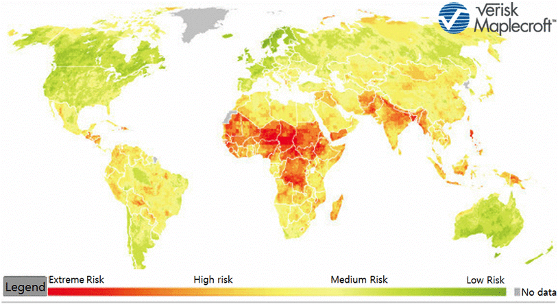 explain why business services are disproportionately concentrated in global cities