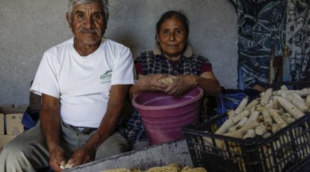 Financial health in Mexico: A new tool for measurement