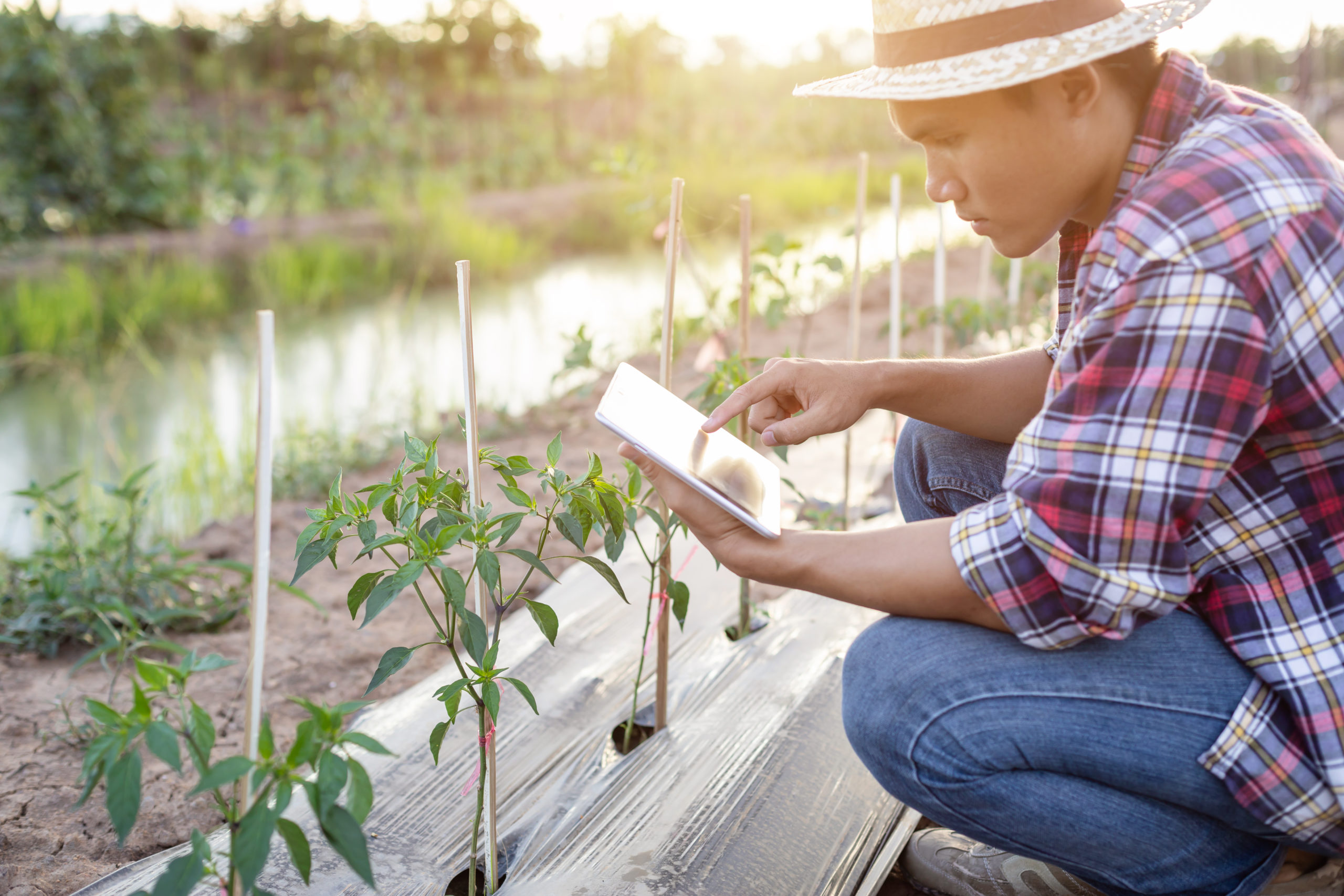 Technology for Smart farmer concept