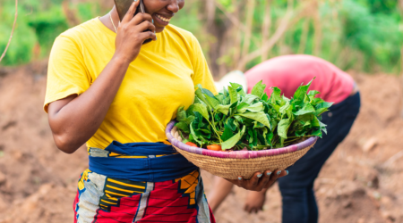 Why we invested: Farm to Feed is creating a digitally-enabled solution to reduce food loss and waste, while improving farmers’ incomes in Kenya