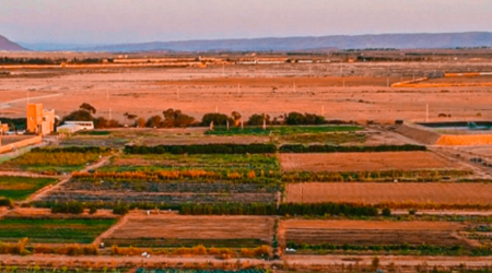 Why we invested: Sand to Green is transforming deserts into cultivable land in Morocco
