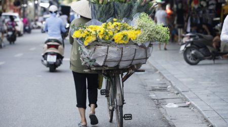 Three findings from the application of a financial health index in Vietnam