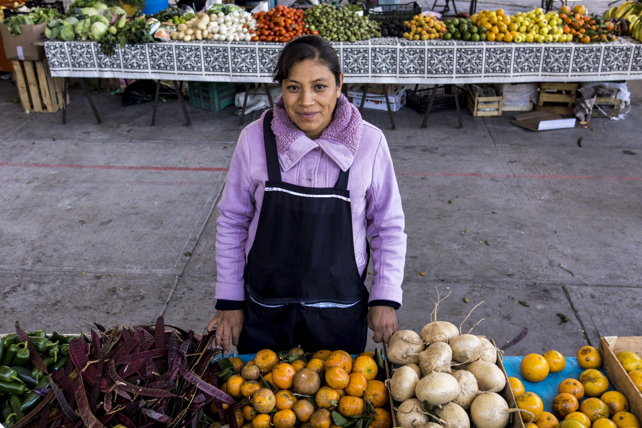 Mexico Financial Diaries 2016, woman at her vegetable stand in Santa Clara