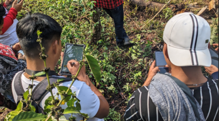 Why we partnered with Nuup: Improving livelihoods for small-scale farming in Mexico through digitalization
