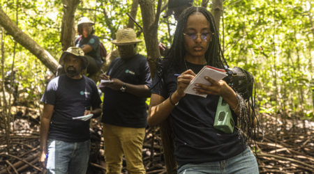From Seed to System: How TECA is bringing emerging climate tech markets to a turning point