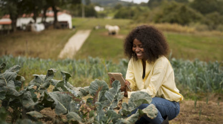 Building Sustainable Food Systems Using Artificial Intelligence