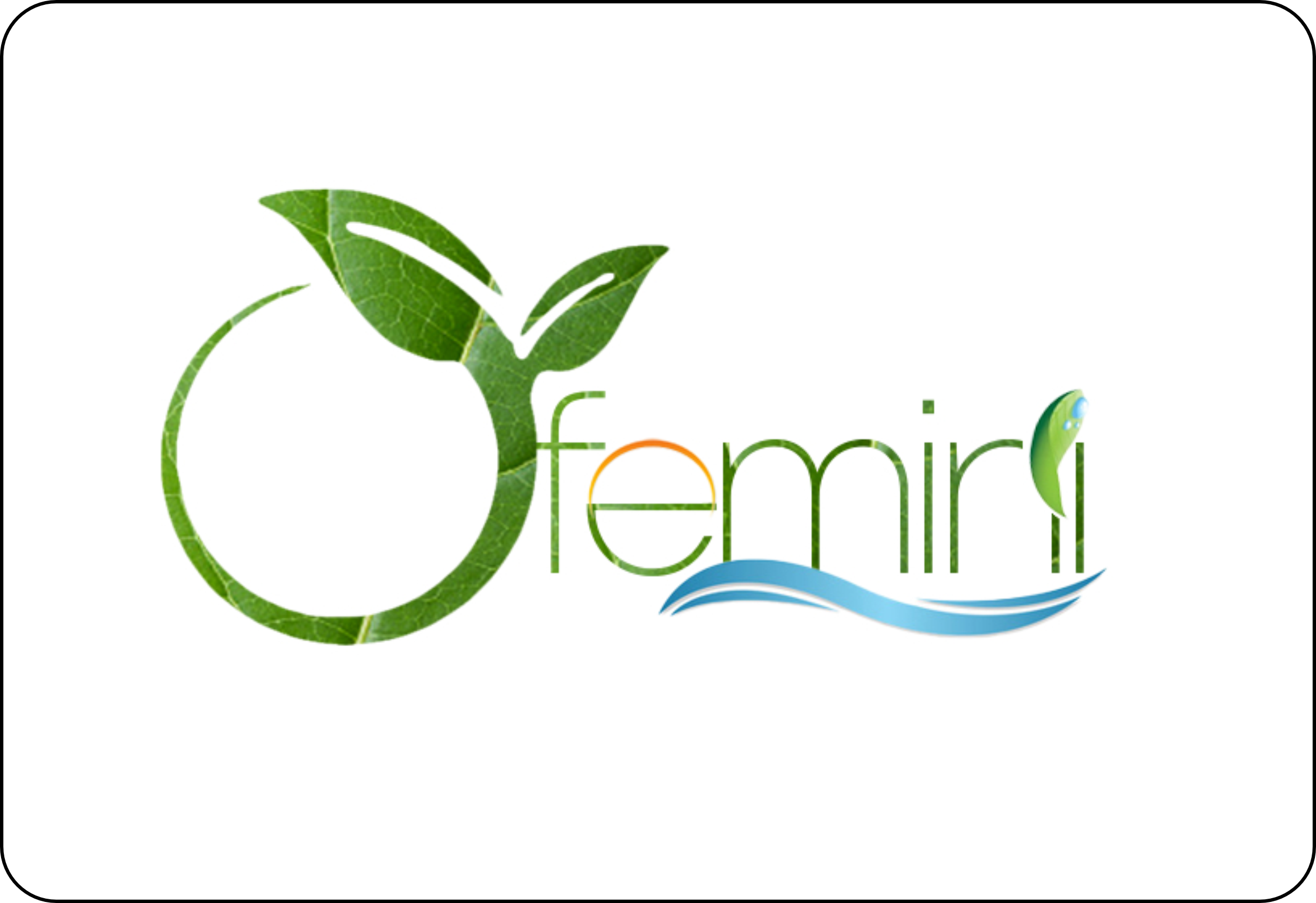 Ofemini Global Limited