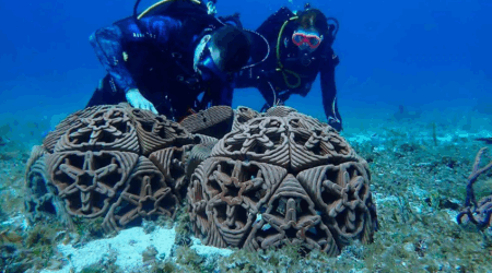 Apoyan a emprendedores enfocados a la conservación marina en el golfo de California