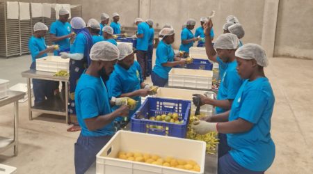 Agri-energy: How ClimaFii is backing the ventures closing Africa’s post-harvest processing gap