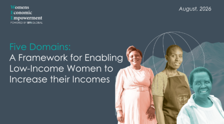Five Domains: A Framework for Enabling Low-Income Women to Increase Their Incomes