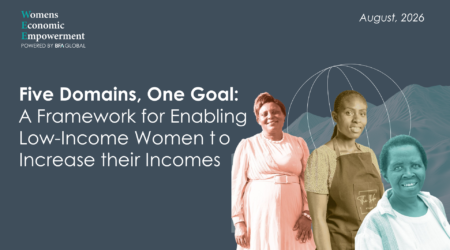 Five Domains, One Goal: A Framework for Enabling Low-Income Women to Increase Their Incomes